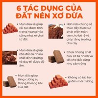 Combo 10 Viên Nén Xơ Dừa Hữu Cơ - Đất Trồng Cây Tiện Ích