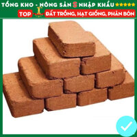Combo 10 Viên Nén Xơ Dừa Hữu Cơ Dinh Dưỡng Diệt Khuẩn Tặng kèm 5 Túi Hạt Giống F1
