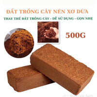 Combo 10 viên nén Xơ Dừa Trồng Cây Tặng kèm 2 Gói Hạt Giống F1