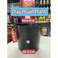 Combo 100 Cái Chậu Nhựa Mềm THUẬN THÀNH Trồng Cây Hoa -Mẫu C8