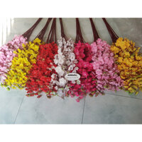 Combo 100 cành hoa mai, hoa anh đào giá sỉ trang trí Tết