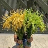 Combo 100 cành lúa giả 1 bông cao cấp 70cm