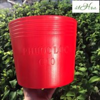 Combo 100 chậu C10 Đỏ (25x20cm) trồng hoa Tết loại dày chậu nhựa trồng cây