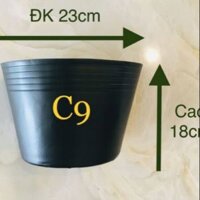Combo 100 chậu nhựa C9