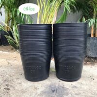 Combo 100 chậu nhựa đen C9hiệu Phước Lộc ( loại dày)