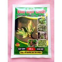 COMBO 100 GÓI PHÂN BÓN VUA BẬT CHỒI GÓI 50GR KÍCH CHỒI,PHÁT LỘC,BẬT BÚP