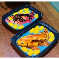 COMBO 100 HỘP ĐẾ ĐEN HT203 ĐỰNG RAU CÂU VIÊN, RAU CÂU CÁ CHÉP, TRÉ TRỘN, BÁNH TRÁNG TRỘN,...