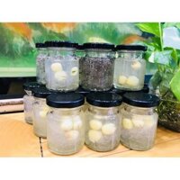 COMBO 100 HŨ THỦY TINH 75ML NẮP THIẾC (ĐEN/VÀNG) DÙNG ĐỂ CHƯNG YẾN, LÀM SỮA CHUA, ĐỰNG DẦU DỪA