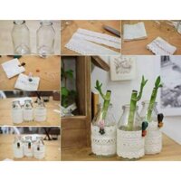 combo 100 lọ thủy tinh 100 ml