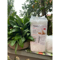 Combo 100 Miếng Bỉm Trần Quần Hipgig A Xuất Nhật Size M L XL XXL XXXL dành cho bé