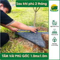 Combo 100 Tấm Vải Phủ Che Cỏ Cho Gốc Cây 1mx1m - Có ghim nhựa