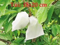 Combo 100 Túi Bao Cam, Bao Xoài, Bao Ổi, Bao Na, Mận Và Các Loại Quả Kích Cỡ Nhỏ ( 18cm x 20cm )