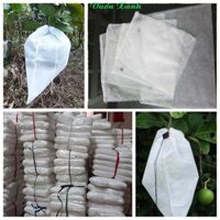 Combo 100 Túi Bọc Bưởi 30x30cm - Túi Bọc Quả Chống Sâu Bọ