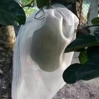 Combo 100 túi bọc trái mít