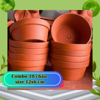 Combo 10c đất nung trồng sen đá size 12x6 bao bể vỡ do vận chuyển