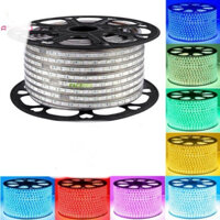 Combo 10m dây led rgb đổi màu+1 nguồn chớp đổi màu
