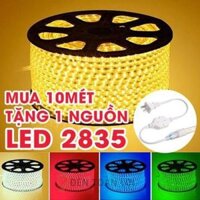 Combo 10m đèn led dây đôi 2 hàng bóng điện 220v siêu sáng cuốn cây, hắt tường trang trí, tặng kèm nguồn.