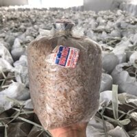 COMBO 12 BỊCH MEO NẤM RƠM CHẤT LƯỢNG CAO THẦN NÔNG( BỊCH LỚN 550 GRAM/BỊCH) - Tặng kèm sách hướng dẫn