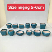 Combo 12 chậu mini bonsai cây cảnh sen đá SP696