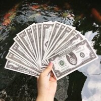 Combo 120 Bao lì xì 2$