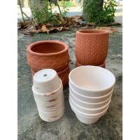 Combo 14 chậu đất nung trồng sen đá - xương rồng
