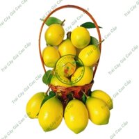 Combo 15 Trái Giả Trái Chanh (5X7 cm) mô hình Việt Nam công nghệ Thái Lan GIỐNG THẬT 99%- Dùng trang trí