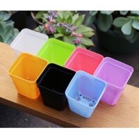 combo 150 chậu hoa nhựa mini