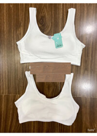 COMBO 2 ÁO LÁ HỌC SINH COTTON SỌC TRẮNG ĐẸP