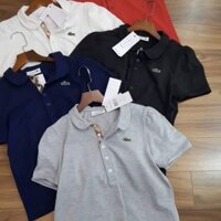 Combo 2 Áo polo lacoste xuất xịn