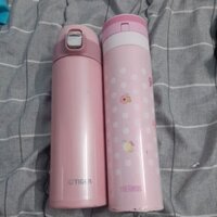 Combo 2 Bình Giữ Nhiệt Nhật Bãi