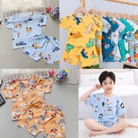 COMBO 2 bộ đồ bộ bé trai Tole Lanh CỘC TAY , chất vải Tôn lanh 2 da mềm, mịn, mát mùa hè, hàng Việt Nam chất lượng