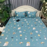 Combo 2 bộ ga chun trần 1m6x2m và 1 bộ 2mx2m2