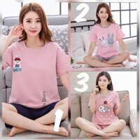 Combo 2 bộ mặc nhà Hàn Quốc