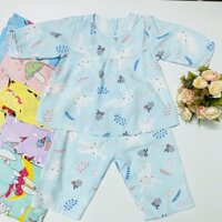 COMBO 2 bộ quần áo Tole, lanh Bé Gái  Mẫu Tay Dài cài nút sau Size 1-14 cho bé 5-38kg Chất vải tole, lanh 2 da loại 1 mềm, mịn, mát cho bé gái Hàng Việt Nam - 3 9-11kg