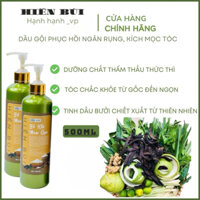 Combo 2 chai dầu gội Bồ kết men gạo giúp sạch gàu , giảm gãy rụng tóc