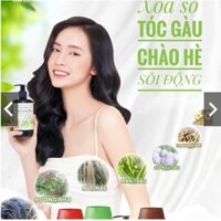 Combo 2 chai Dầu gội Thái Dương 7 Plus 250ml tặng 1 chai 100ml