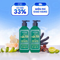 Combo 2 chai dầu gội thảo dược Nam Nung Xanh Lá bản kiềm dầu 500ml chính hãng