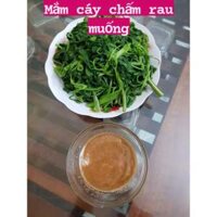 Combo 2 chai Mắm Cáy Thái Bình, Mắm Cáy Nguyên Chất Thơm Ngon, Đậm Đặc Chuẩn Vị Nhà Làm chai 500g