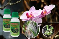 Combo 2 chai Phân bón lá sinh học Chitosan1