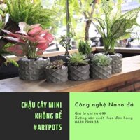 Combo 2 chậu cây mini để bàn 15x9 và 10x6 cm - Chậu trồng cây mini công nghệ nano đá