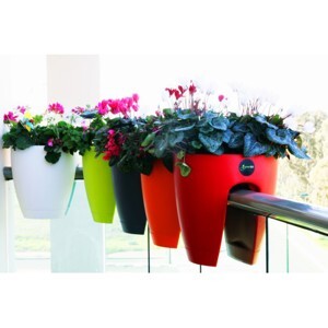 Combo 2 Chậu Hoa Lan Can Tashuan TS-4117