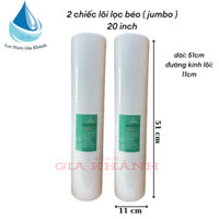 Combo 2 chếc lõi lọc 20 inch béo (jumbo)