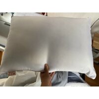 Combo 2 chiếc gối muji cao cấp hàng nhập khẩu size to 50x70cm có khoá kéo thay bông gòn