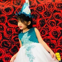 Combo 2 đầm công chúa xanh trắng và đỏ, size 8-10 kg giá 200k