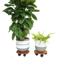 Combo 2 Đế chậu cây có bánh xe Tròn R30 chịu lực 80kg