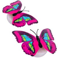 Combo 2 Đèn Led Bướm Phát Quang Nalodee