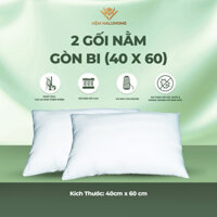 Combo 2 gối nằm gòn bi ( 40×60 )