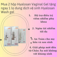 Combo 2 hộp Hyalosan vaginal gel hộ trợ điều trị và phòng ngừa viêm nhiễm phụ khoa được tặng 1 hộp DDVS Hyalosan 200ml