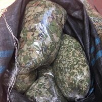 Combo 2 kg Lá sen khô nhà trồng