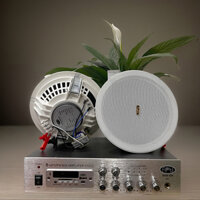 Combo 2 Loa cho cửa hàng Và 1 Amply Giá Sốc